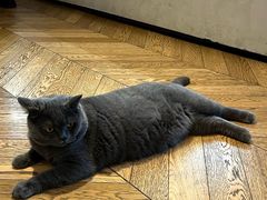 -Me Coffee下午茶艺术空间