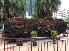 -海口骑楼小吃街