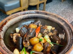 -大榕树下顺德菜(融创茂店)