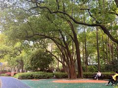 -徐家汇源景区-衡山公园