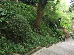 -乌山风景区