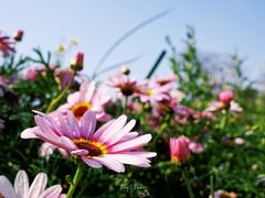 -东莞植物园