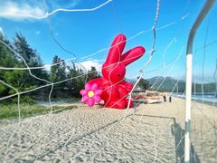 -西涌国际滨海旅游区