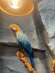 点击看大图 -Zoolung Zoolung动物主题公园(海信广场店)