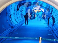 -迪拜水族馆及水下动物园