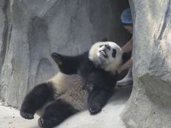 -广州保龄球馆(广州天河体育中心店)