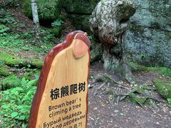 -汤旺河林海奇石景区