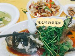 石斑鱼-半岛私房菜(梅林店)