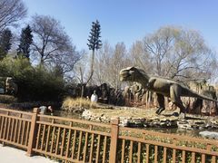 -北京野生动物园