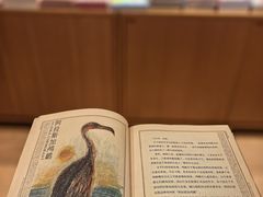 -新华文创·光的空间