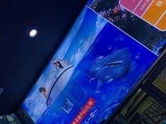 -成都浩海立方海洋公园