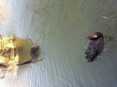 android_upload_pic-北京市海淀外国语实验学校