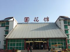 -曹州牡丹园