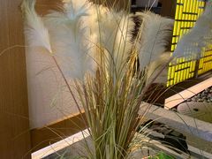 -首秀·四川料理(星耀101店)