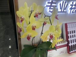 -苗方清颜专业祛痘·皮肤管理