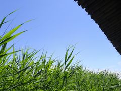 -处女泉风景名胜区