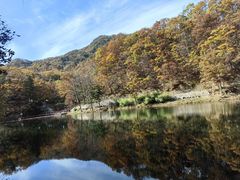 -洛阳白云山景区