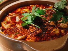 鸭血肥肠煲-成都娃娃花园餐厅(河西旗舰店)