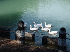 -珠海圆明新园