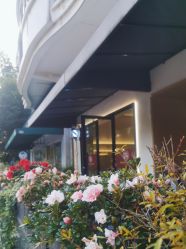 -Garden花園造型