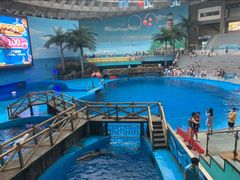 -海合安成都极地海洋公园