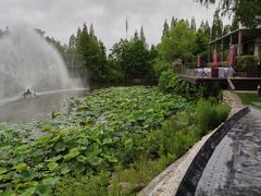 -梅林春晓花园餐厅