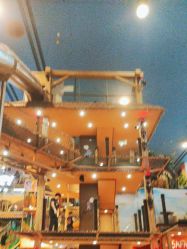 -卡通尼·Safari非洲探索乐园·生日会(金桥国际商业广场店)