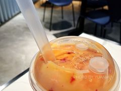 -野萃山·潮汕厚果汁(十亩地店)