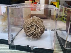 -东部华侨城