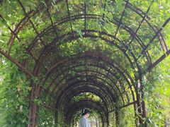 -国家植物园南园