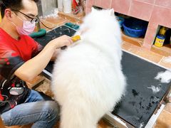 -宠匠·爱宠堡 PET CASTLE