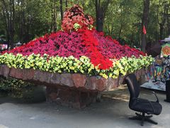 -呀路古热带植物园