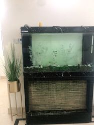 -VE专注问题肌·赛诺龙&科学美肤中心