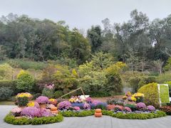 -云溪植物园