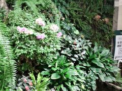 -颐而康·按摩·艾灸·足疗(汽车东站店)