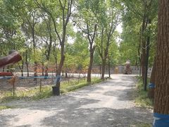 -嘉北郊野公园