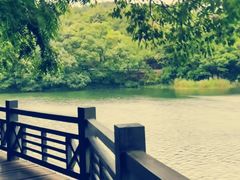 -白马涧龙池景区