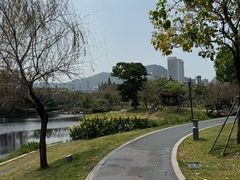 -四海公园(南山区)