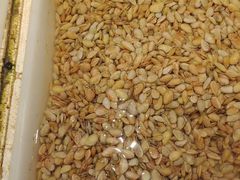 -拉完海鲜大排档(温岭店)