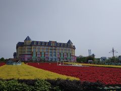 -百万葵园