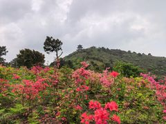 -缥缈峰景区