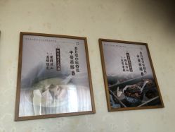 -养月堂中医养生月子会所(中心妇产店)