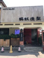 -蚂蚁造型沙龙