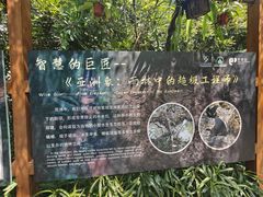 -野象谷景区