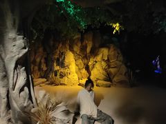 -西安电影制片厂