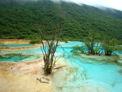 -黄龙山原始森林景区