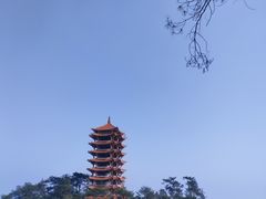 -缙云山景区