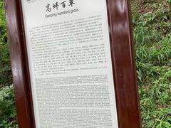 -白草畔自然风景区