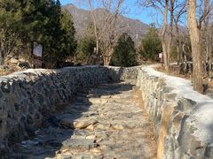 -阳台山自然风景区