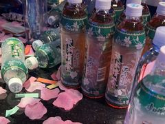 -温莎KTV(珠江路店)